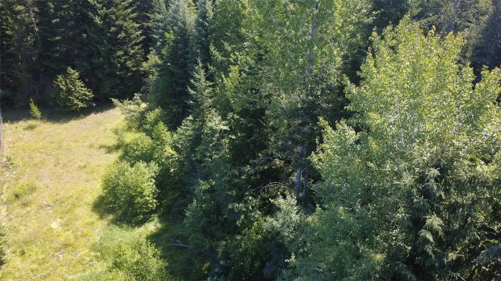 905 Freeman Ridge Road Troy MT 59935