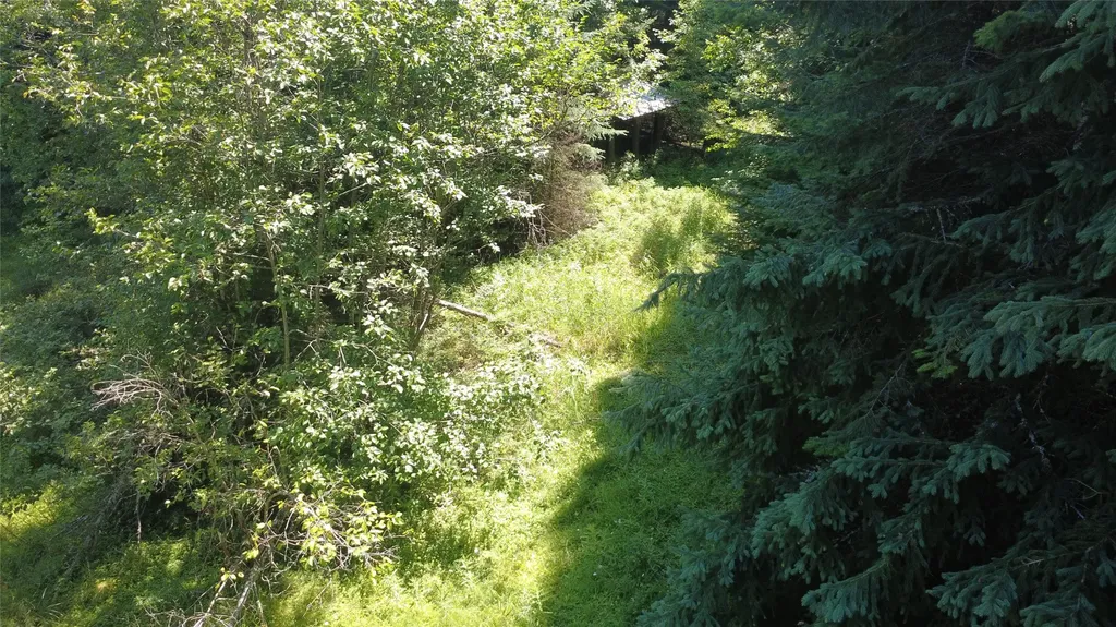 905 Freeman Ridge Road Troy MT 59935