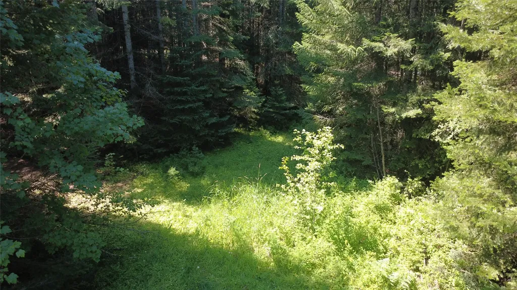 905 Freeman Ridge Road Troy MT 59935