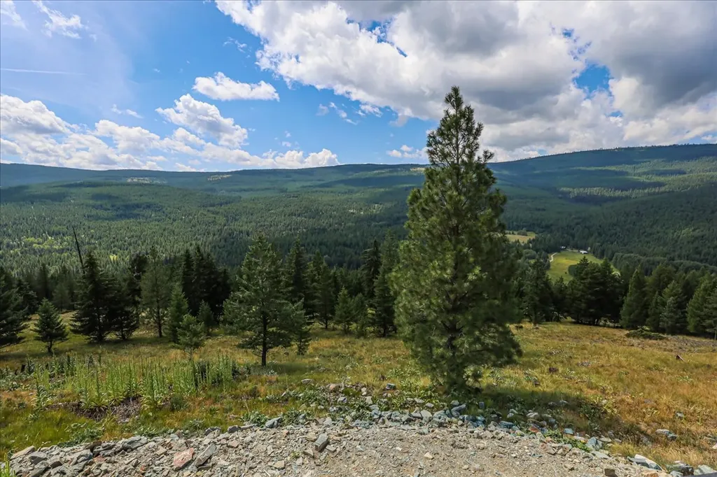 1675 Virginia Hill Road Rexford MT 59930