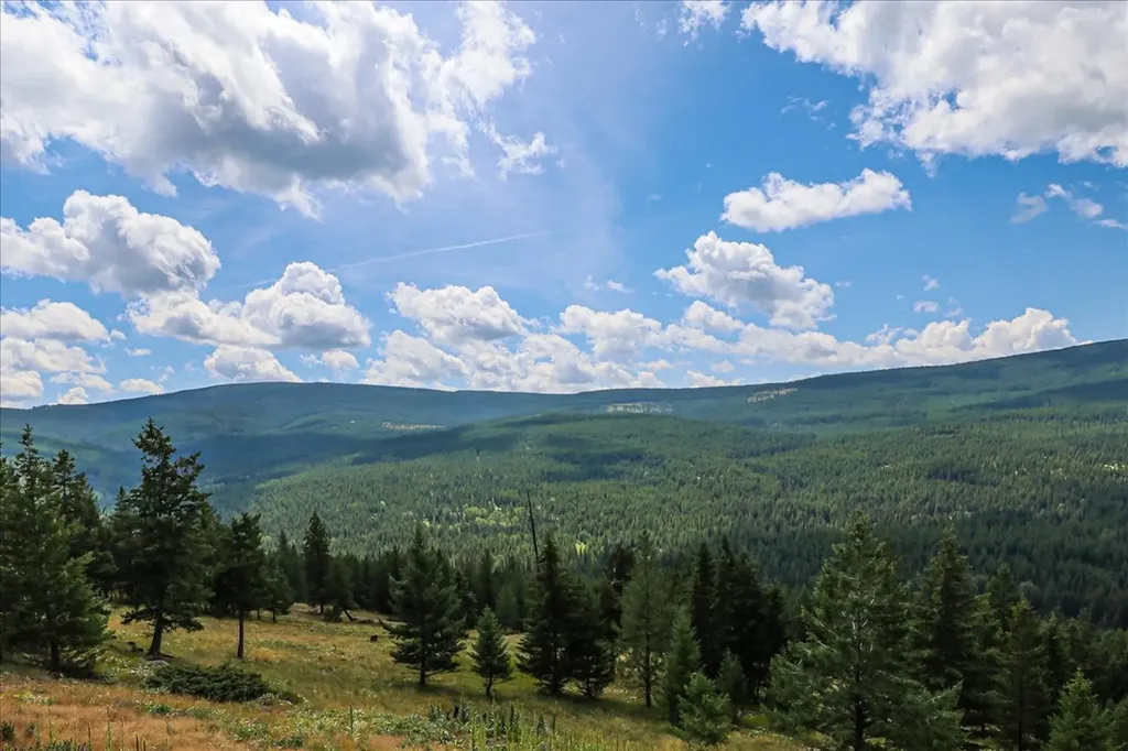 1675 Virginia Hill Road Rexford MT 59930