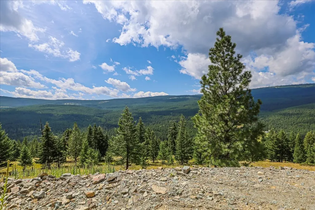 1675 Virginia Hill Road Rexford MT 59930