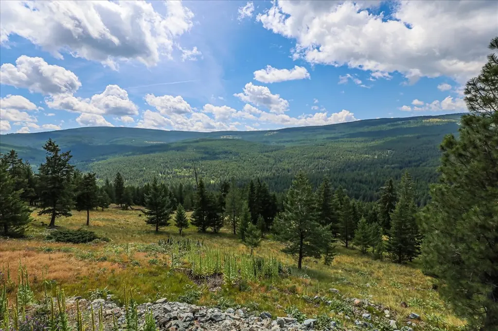 1675 Virginia Hill Road Rexford MT 59930