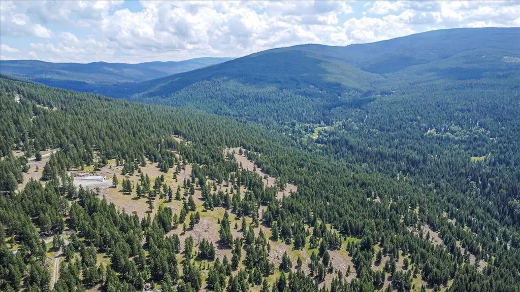 1675 Virginia Hill Road Rexford MT 59930