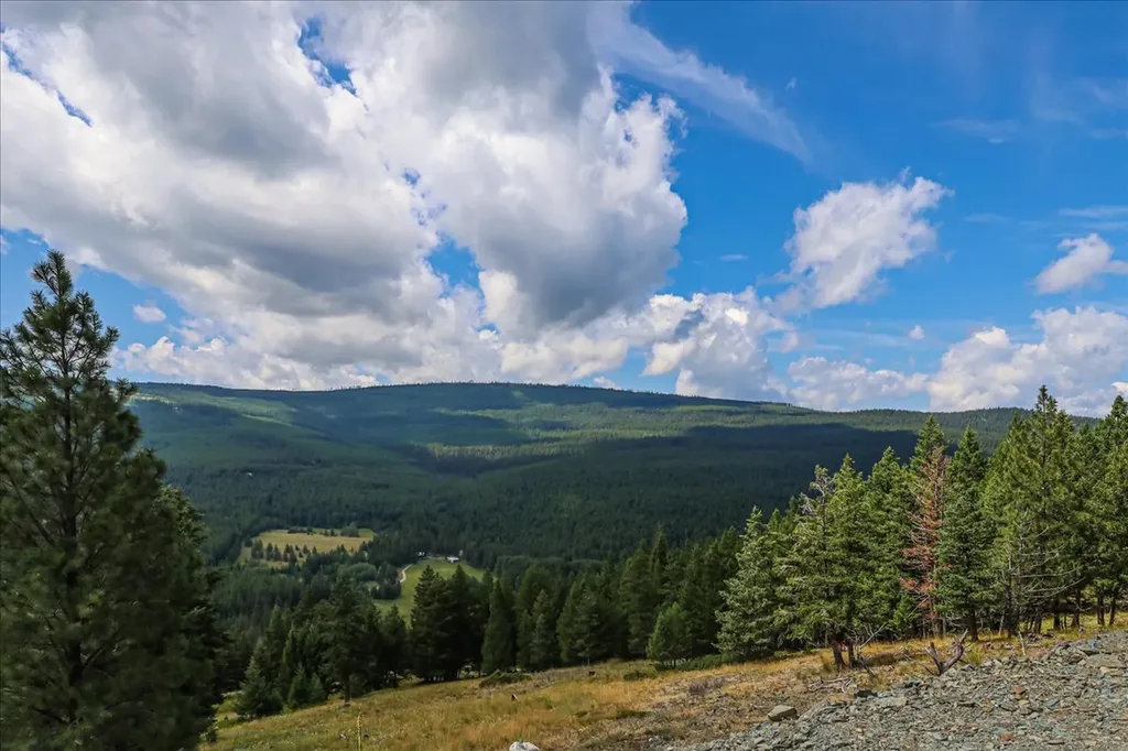 1675 Virginia Hill Road Rexford MT 59930