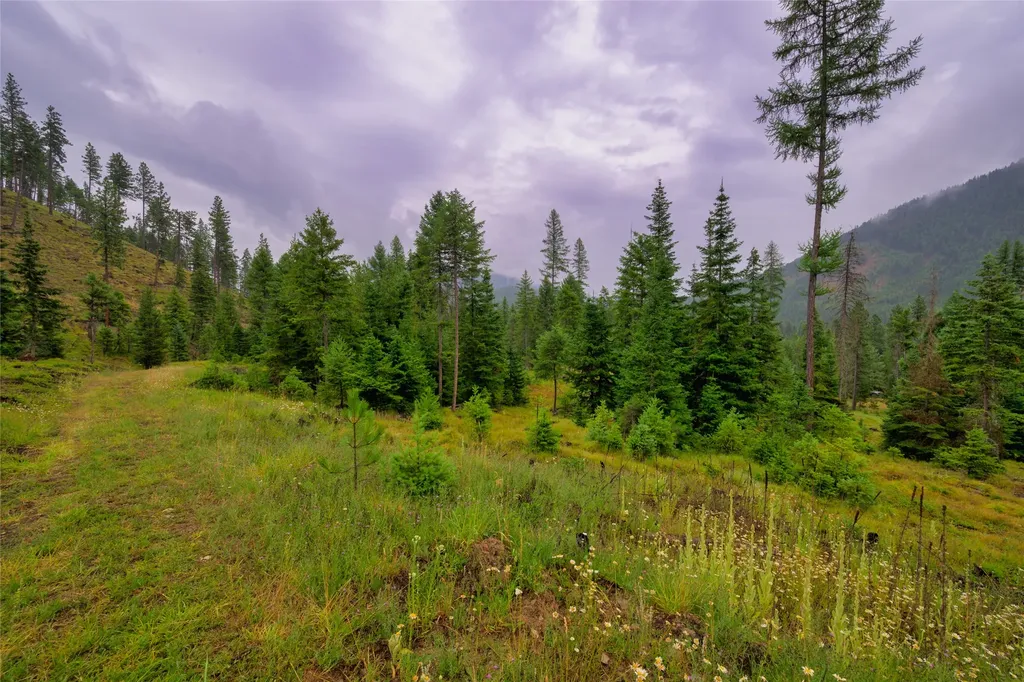 435 Cabin City Loop St Regis MT 59866