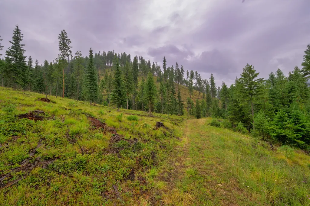 435 Cabin City Loop St Regis MT 59866
