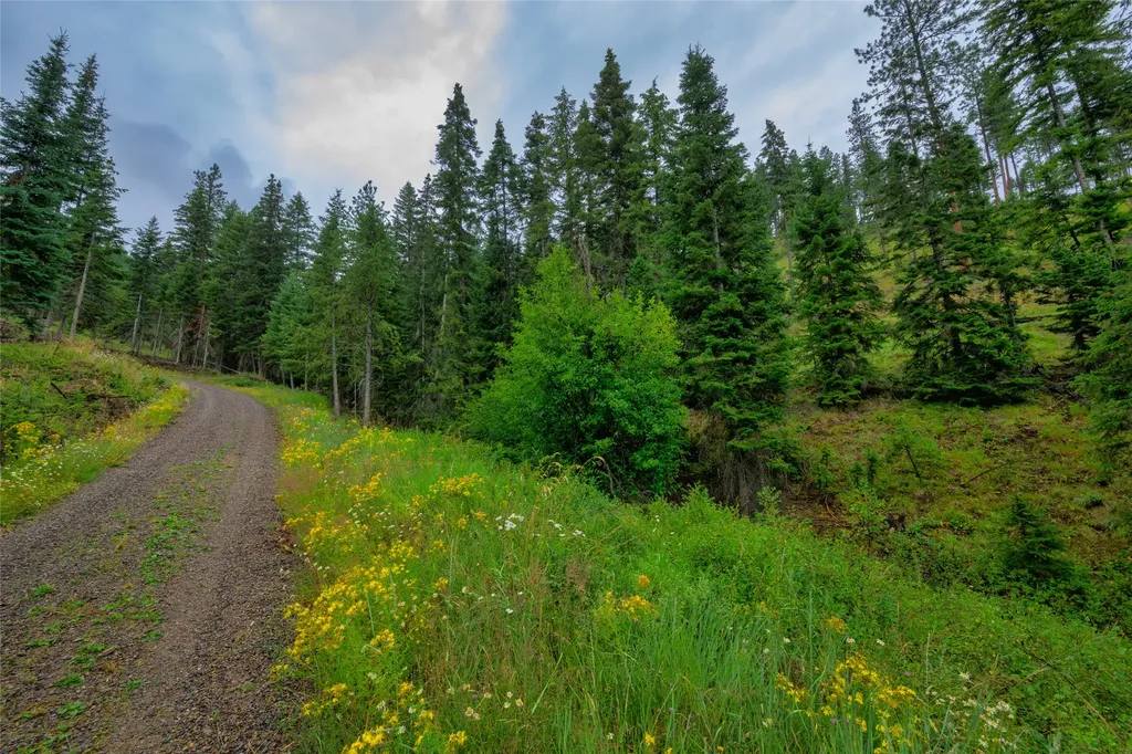 435 Cabin City Loop St Regis MT 59866