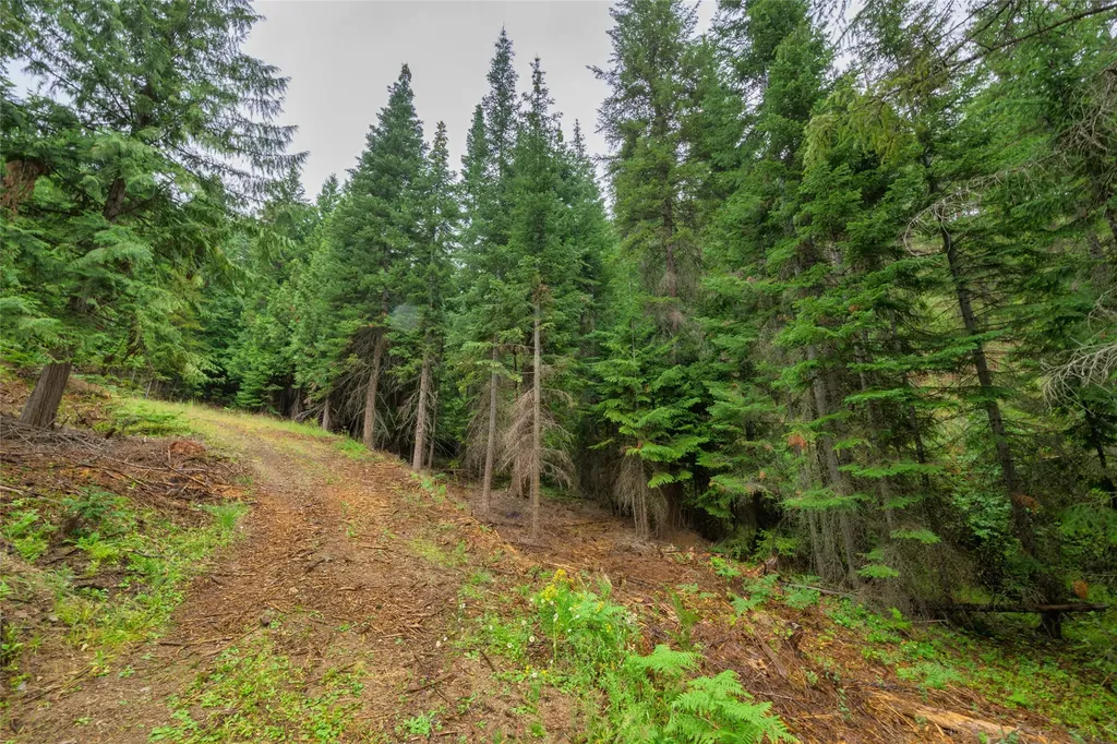 435 Cabin City Loop St Regis MT 59866