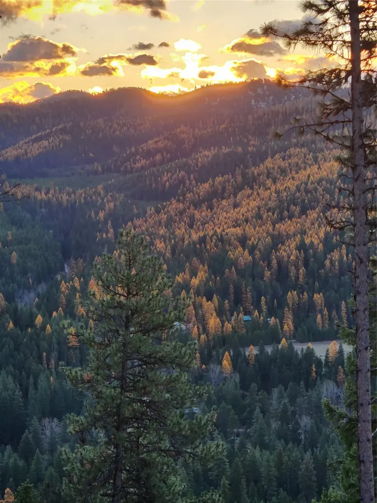 435 Cabin City Loop St Regis MT 59866