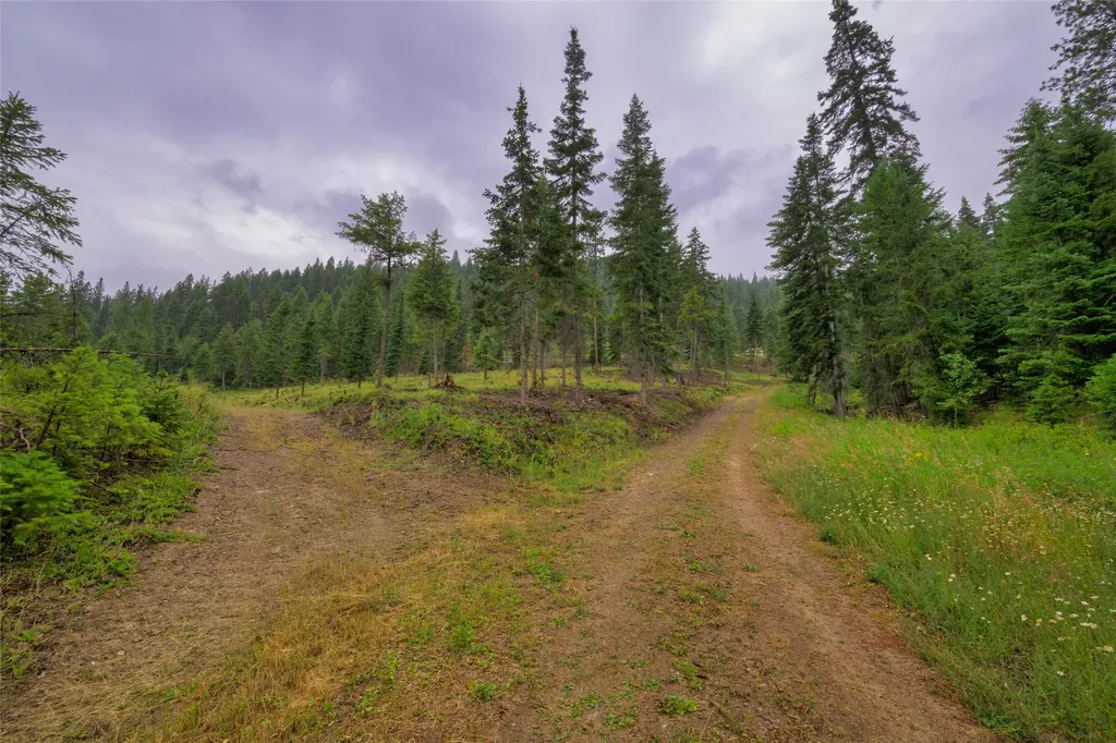 435 Cabin City Loop St Regis MT 59866