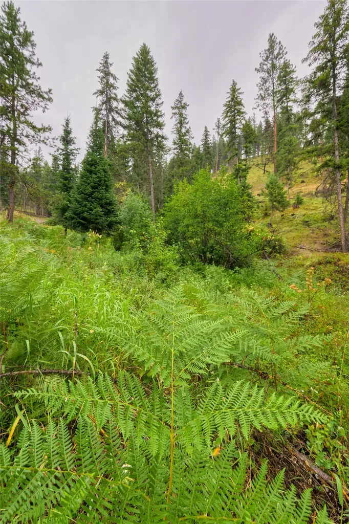 435 Cabin City Loop St Regis MT 59866