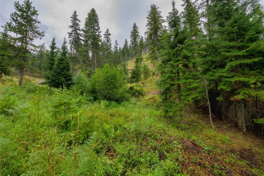 435 Cabin City Loop St Regis MT 59866