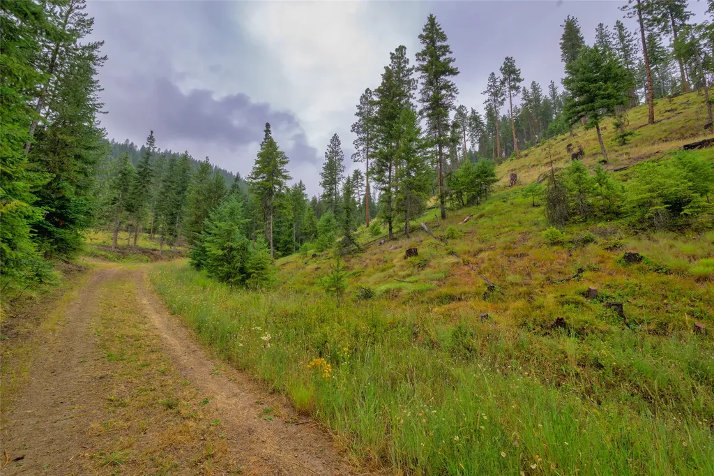 435 Cabin City Loop St Regis MT 59866