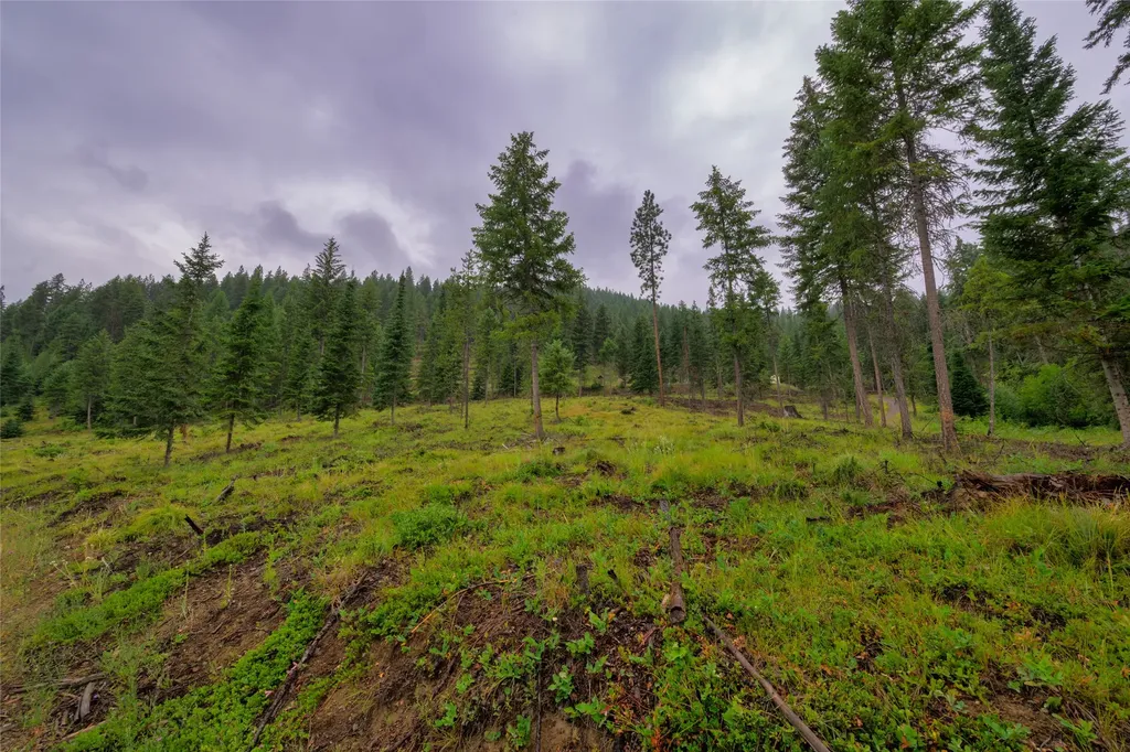 435 Cabin City Loop St Regis MT 59866