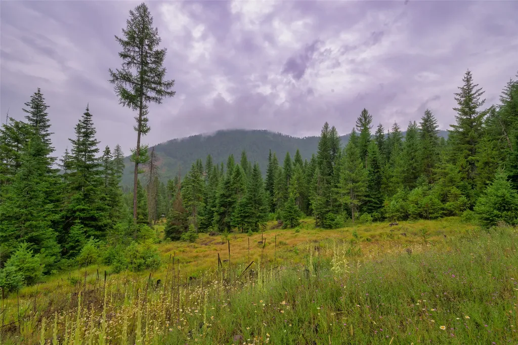 435 Cabin City Loop St Regis MT 59866