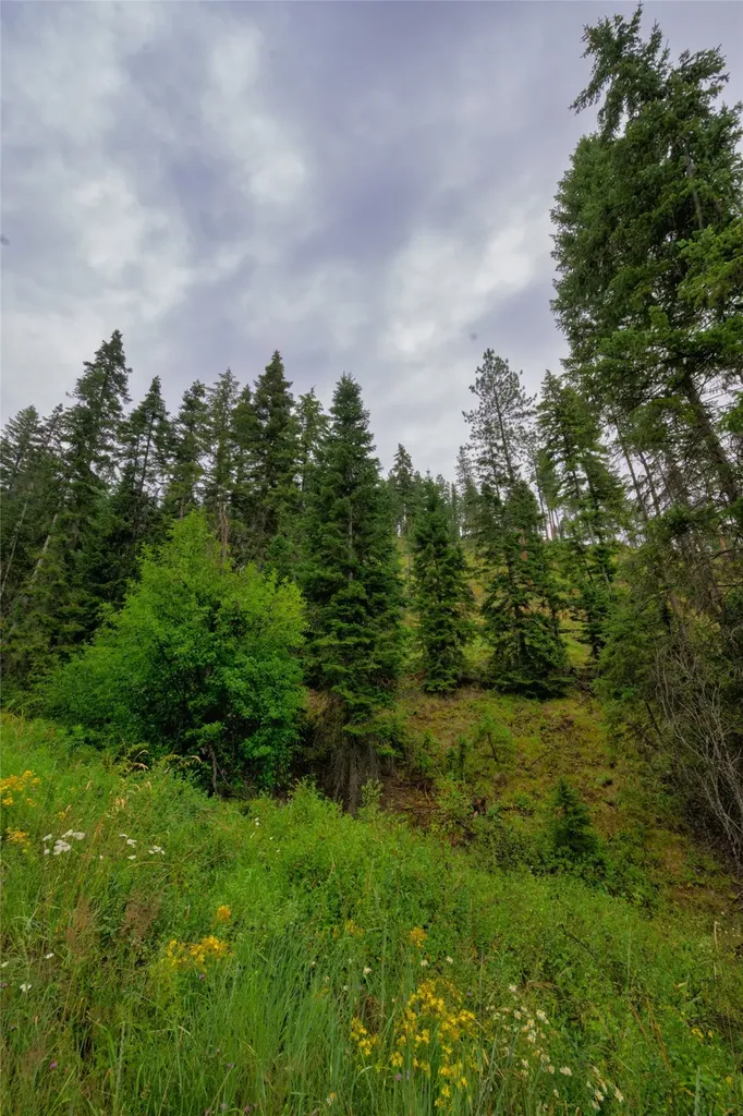 435 Cabin City Loop St Regis MT 59866