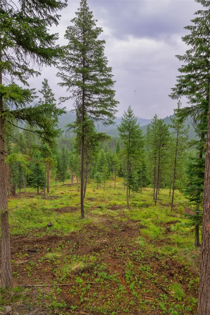 435 Cabin City Loop St Regis MT 59866