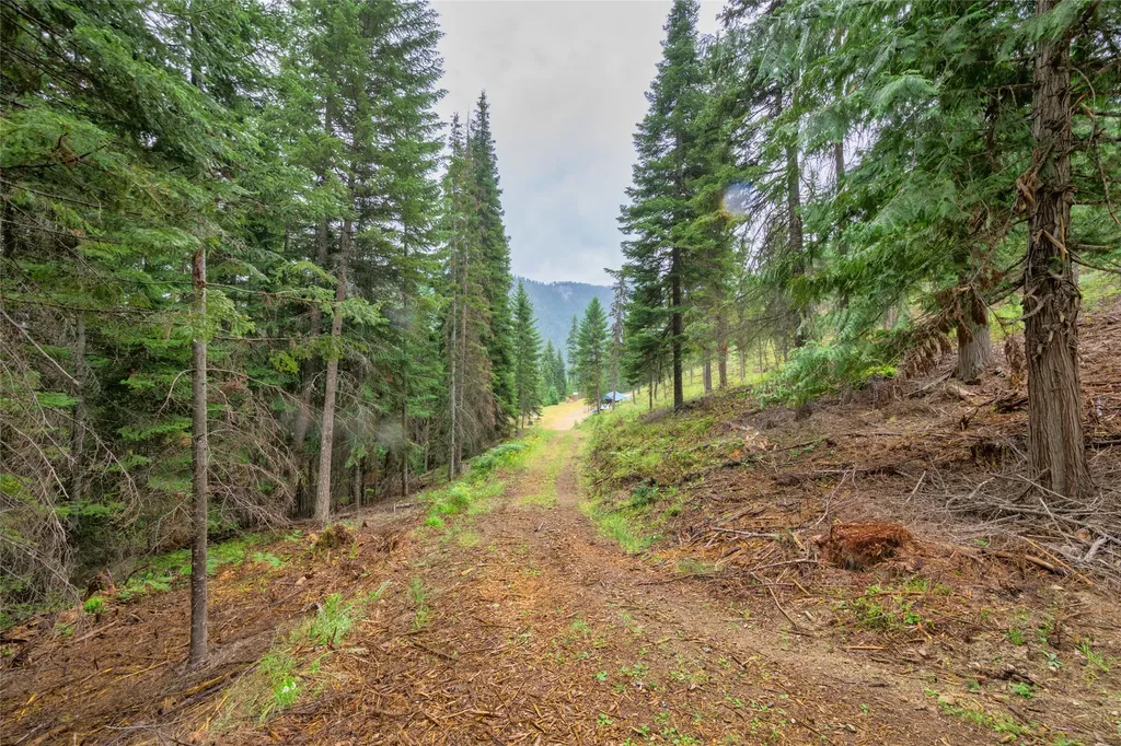 435 Cabin City Loop St Regis MT 59866