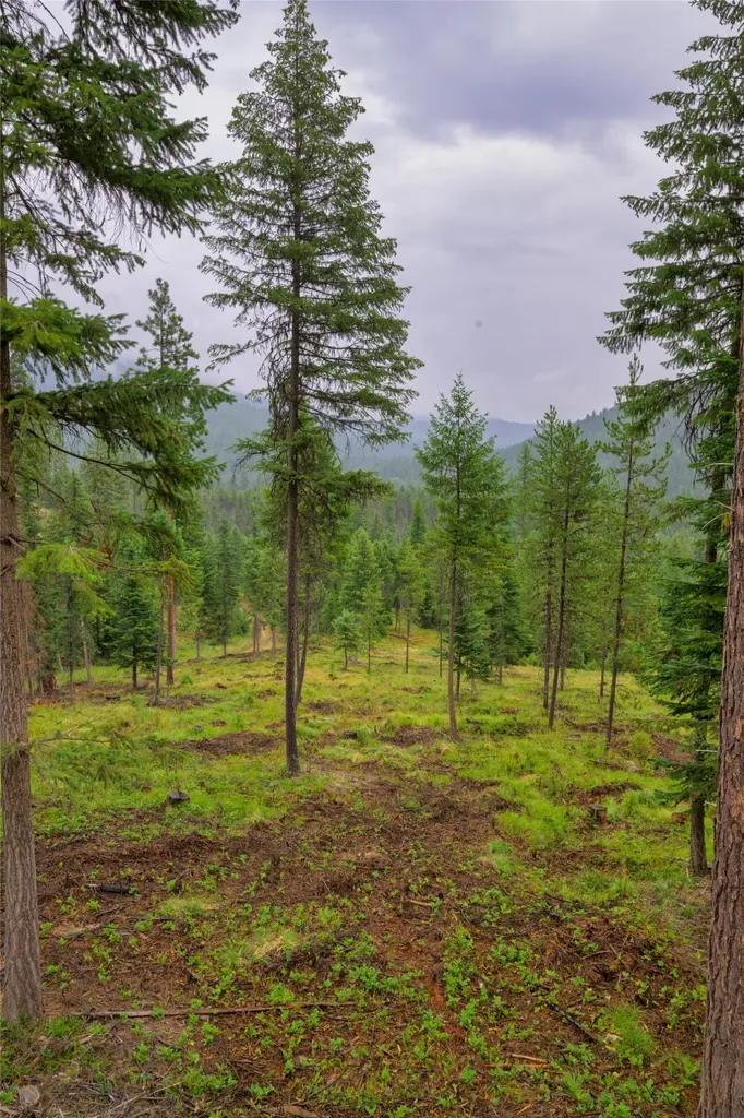 435 Cabin City Loop St Regis MT 59866