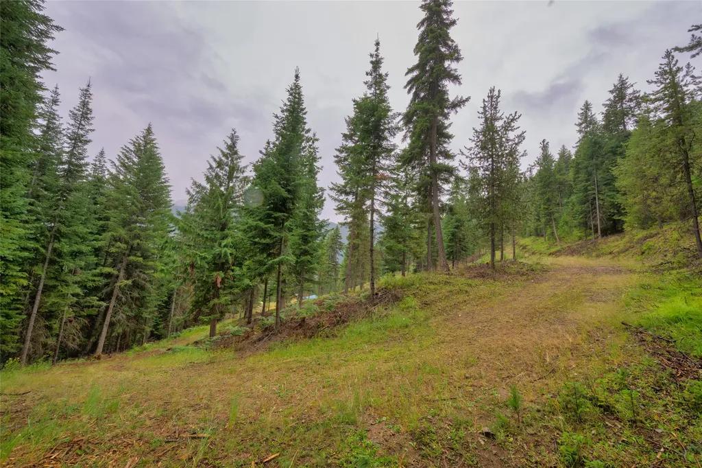 435 Cabin City Loop St Regis MT 59866