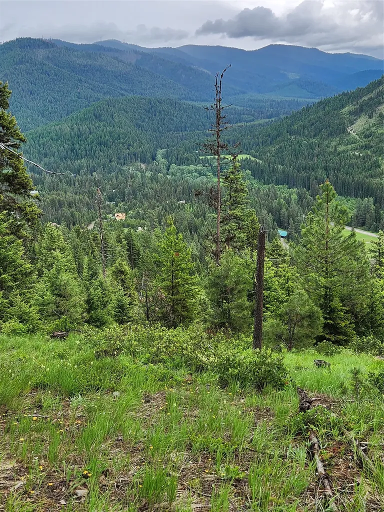 435 Cabin City Loop St Regis MT 59866