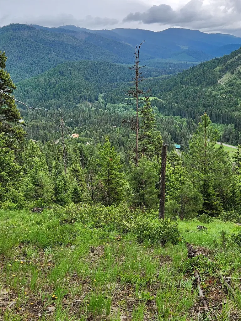 435 Cabin City Loop St Regis MT 59866