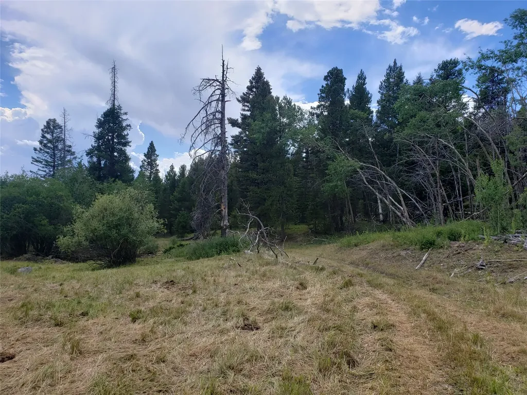 300 Hematite Road Helmville MT 59843