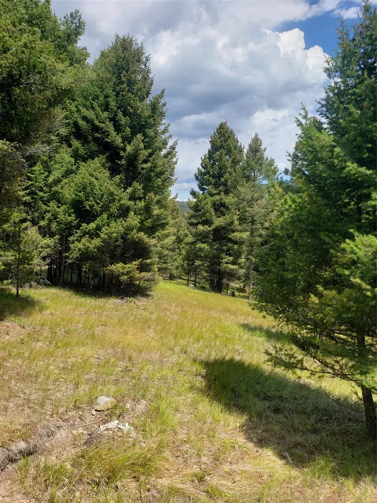300 Hematite Road Helmville MT 59843