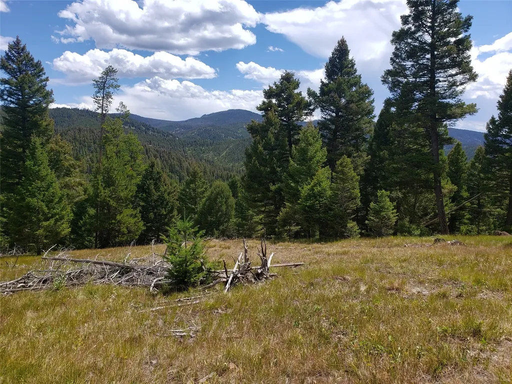 300 Hematite Road Helmville MT 59843