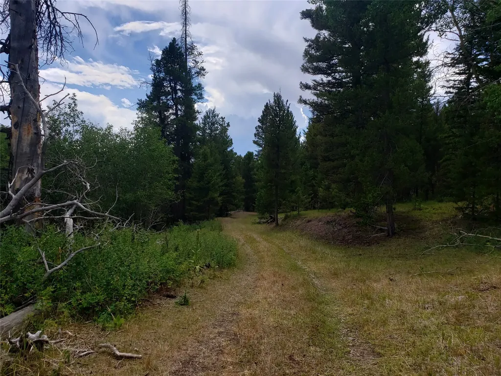 300 Hematite Road Helmville MT 59843