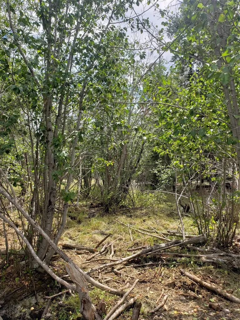 300 Hematite Road Helmville MT 59843