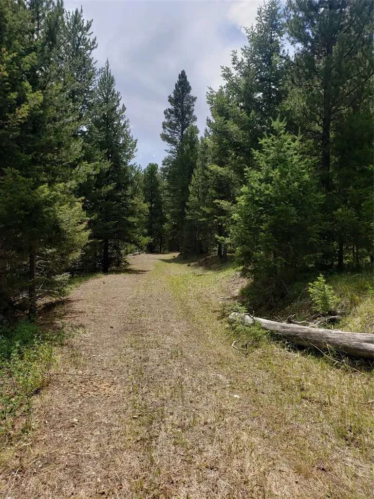 300 Hematite Road Helmville MT 59843