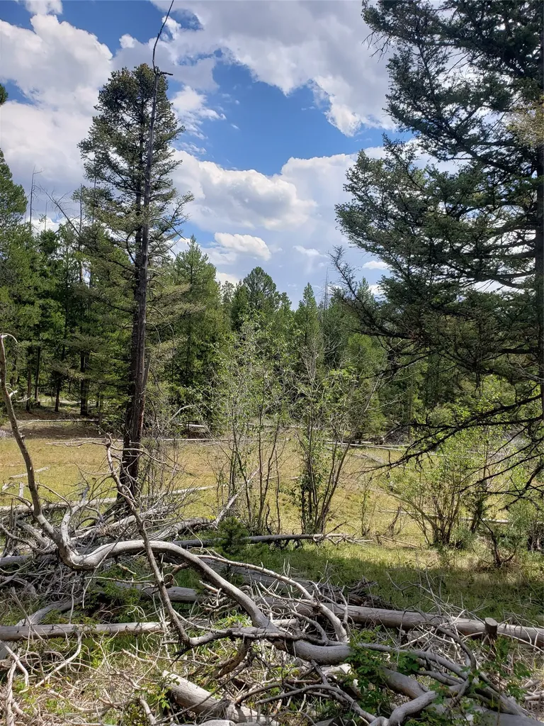 300 Hematite Road Helmville MT 59843