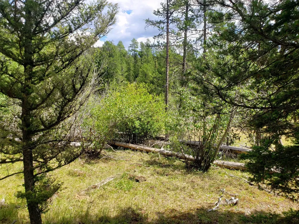 300 Hematite Road Helmville MT 59843