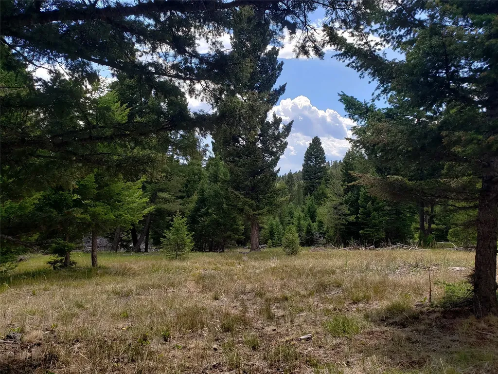 300 Hematite Road Helmville MT 59843