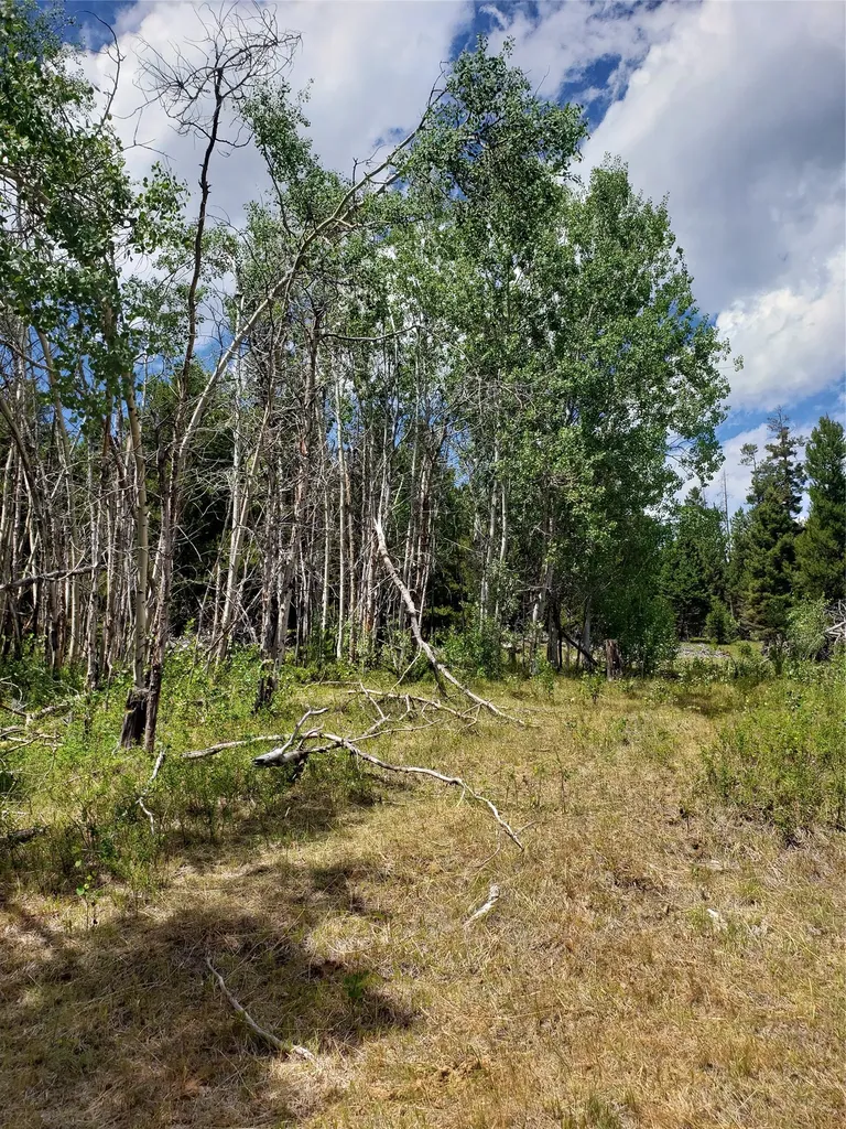 300 Hematite Road Helmville MT 59843