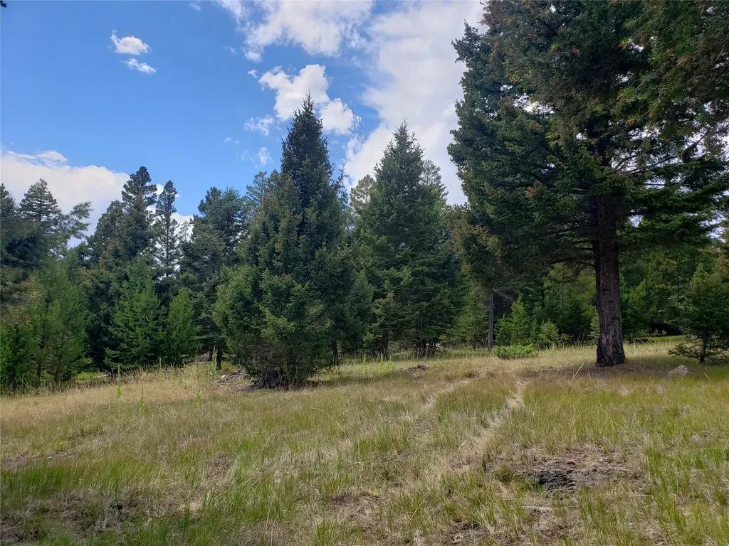 300 Hematite Road Helmville MT 59843