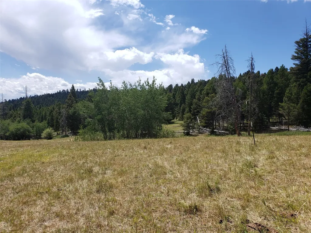 300 Hematite Road Helmville MT 59843