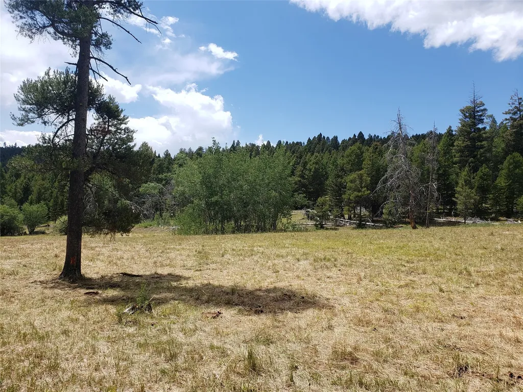 300 Hematite Road Helmville MT 59843