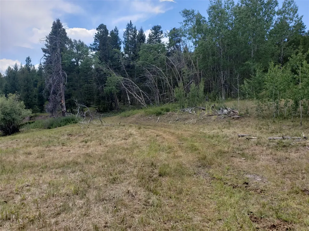 300 Hematite Road Helmville MT 59843