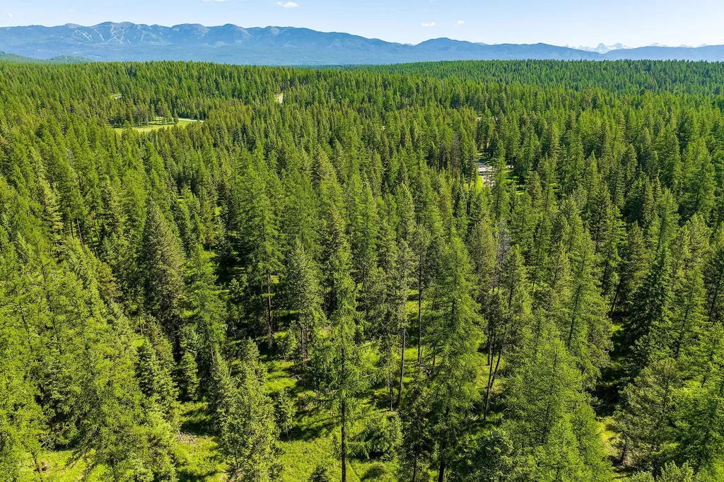 1252 Whitefish Ranch Road Whitefish MT 59937