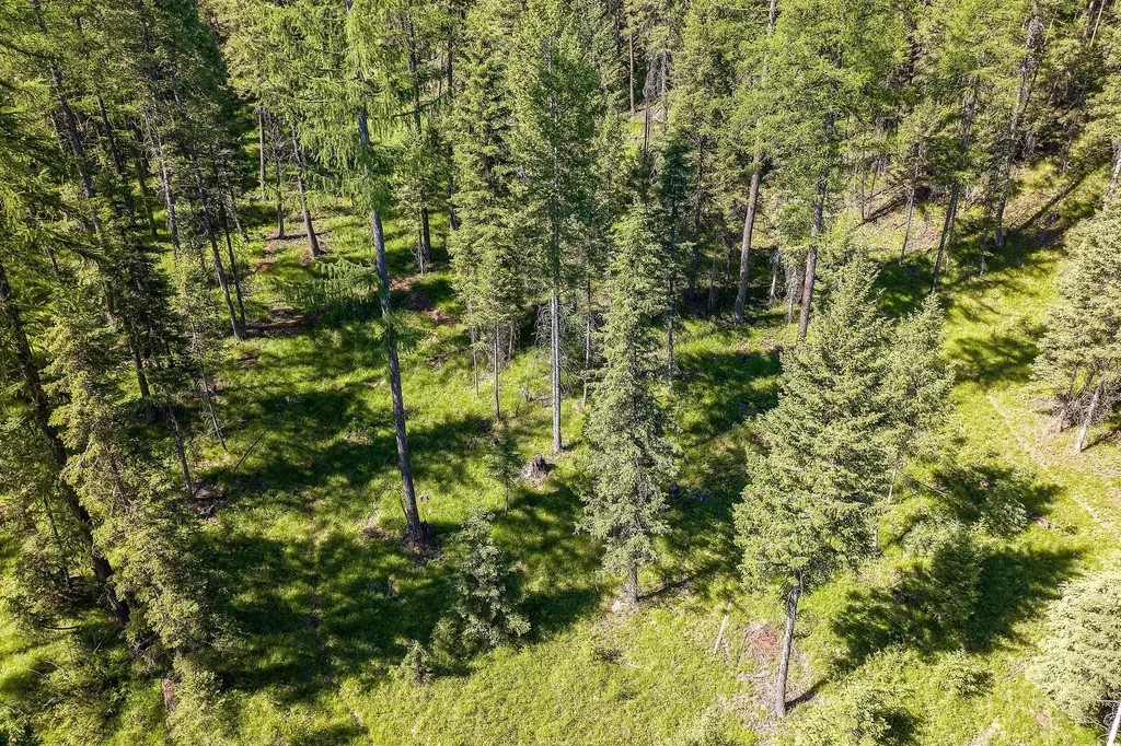 1252 Whitefish Ranch Road Whitefish MT 59937