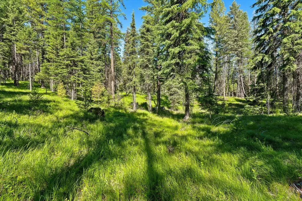 1252 Whitefish Ranch Road Whitefish MT 59937