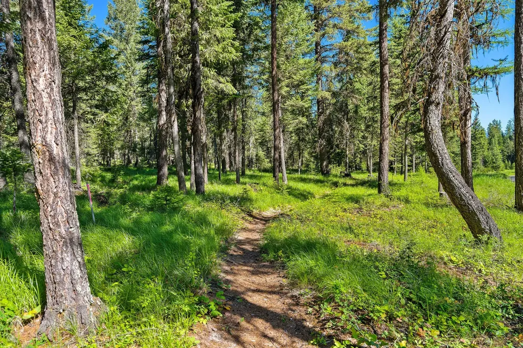1252 Whitefish Ranch Road Whitefish MT 59937