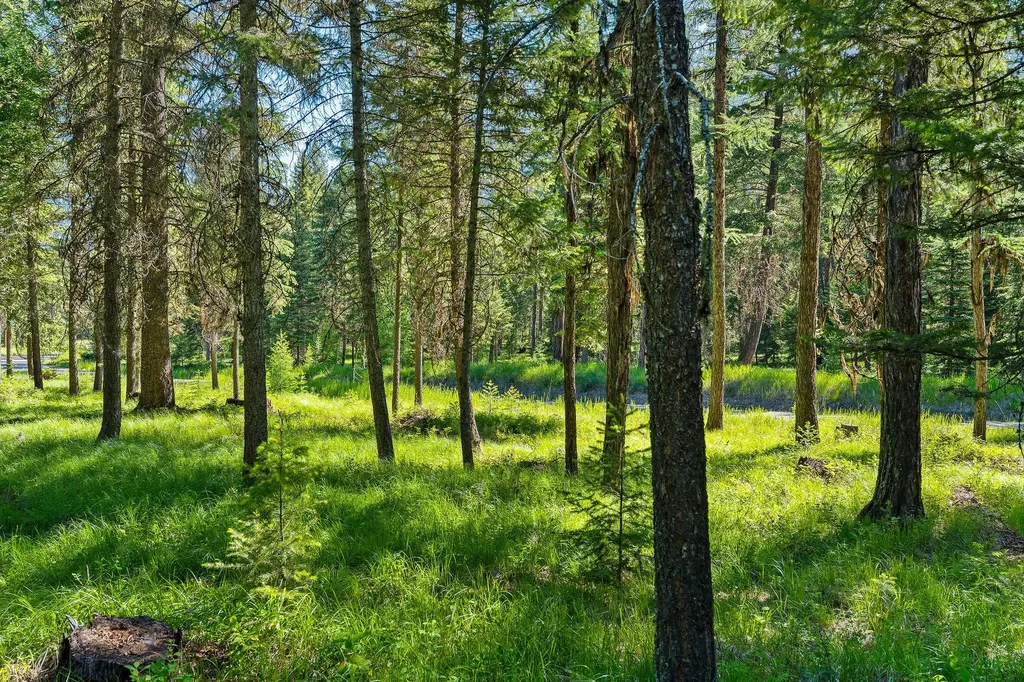 1252 Whitefish Ranch Road Whitefish MT 59937