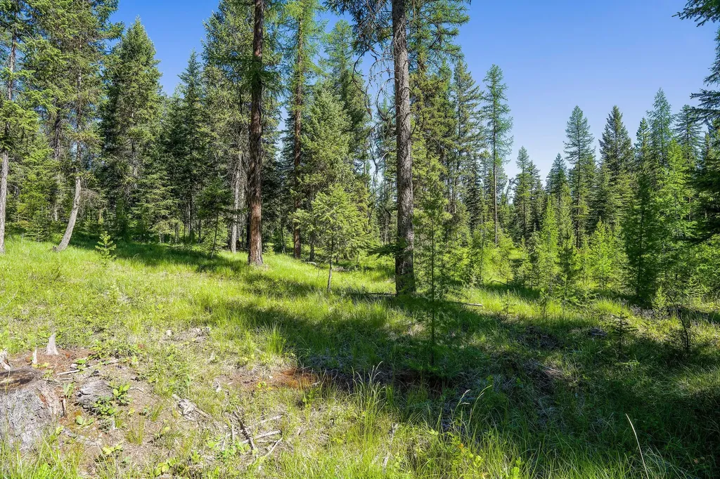 1252 Whitefish Ranch Road Whitefish MT 59937