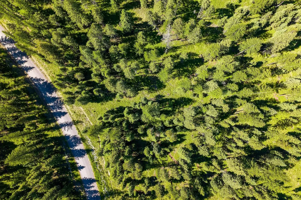 1252 Whitefish Ranch Road Whitefish MT 59937