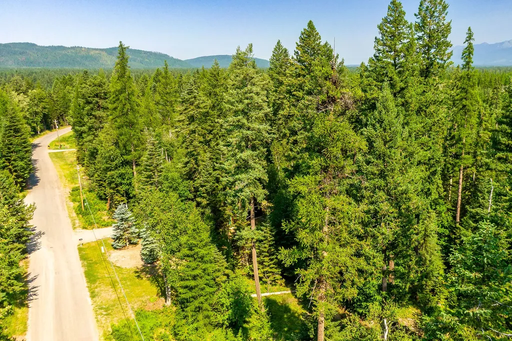 595 Wapiti Lane Bigfork MT 59911