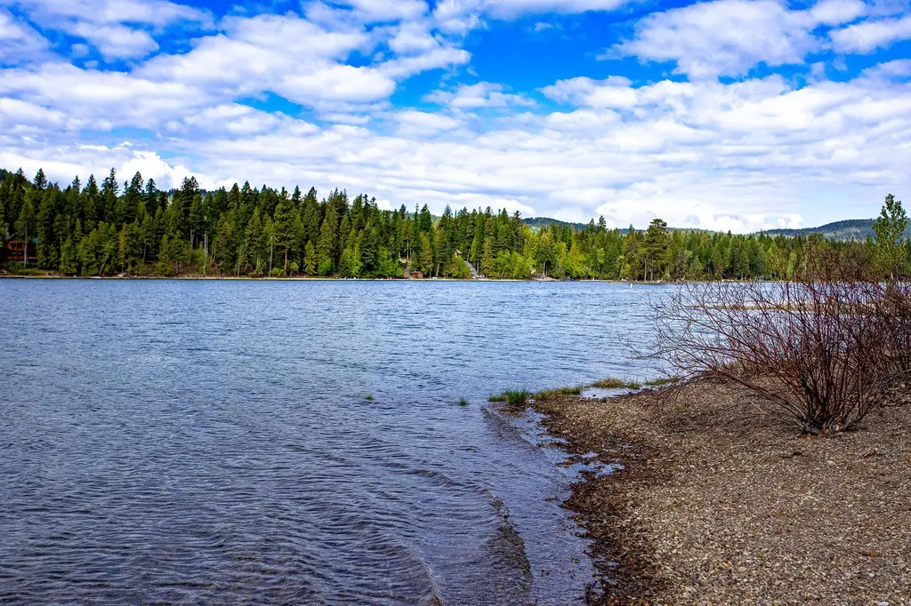595 Wapiti Lane Bigfork MT 59911